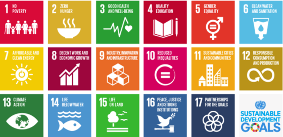 Education Intern, Global Schools | SDSN Association