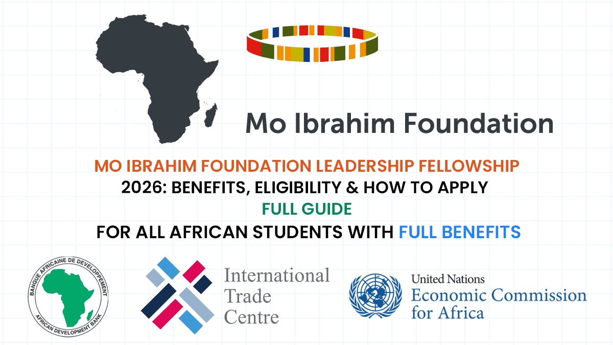 2026 Mo Ibrahim Foundation Leadership Fellowship Program ($100,000 to support living expenses)